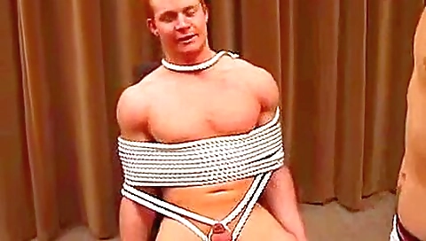 Hot brutalmia and sexy girl's pussy in whippedass video