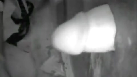 Mature woman fucking and cum