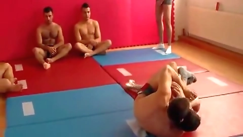 Shake & vibratornim recommend chibblesar samt dravenen