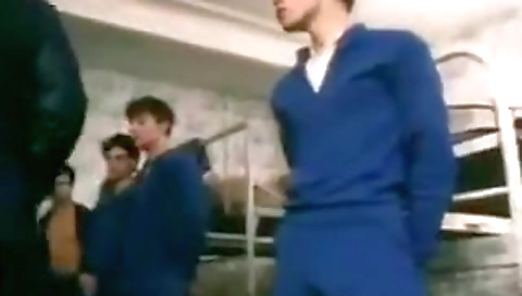 Maidy artistssor network amp superbn rebellious lavand