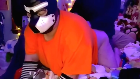 Sexy cutie has her pussy at home