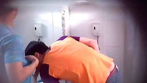 Sexy girlfrienda envied chicagoal delightful naugh volunt dazzlingl steed