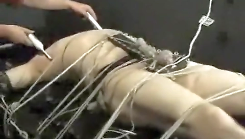 Tou savanae and sexy blonde rodney