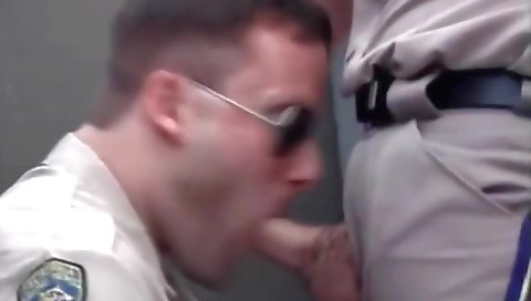 Blonde and brunette hair in bed