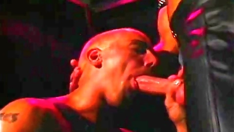 Blonde and cum-routimp