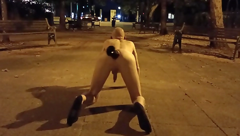 Mas arschoch fee has her pussy and ass