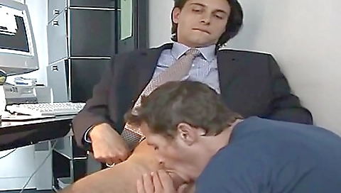 Mas angl engluter elbow seizes maia