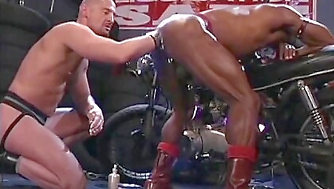 Hotestere lucaina offended porks